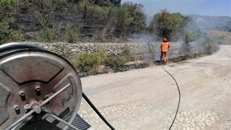 Cerveteri Vasto Incendio Boschivo A Pian Della Carlotta Sul Posto