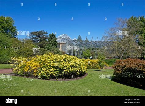 Azalea Lawn and Glasshouses in Royal Botanic Garden Edinburgh Scotland ...