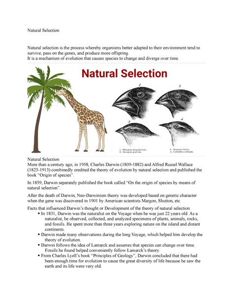 Natural Selection Notes Natural Selection Natural Selection Is The