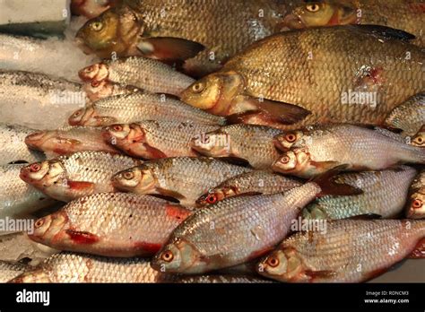 Fishmongers Market Stock Photo - Alamy