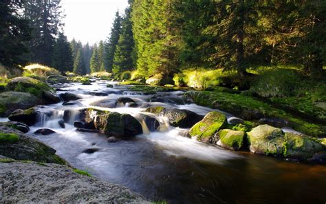 Wallpaper Landscape Forest Waterfall Rock Nature River Valley