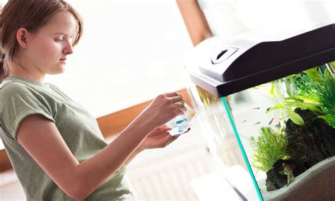 how to do aquarium water change