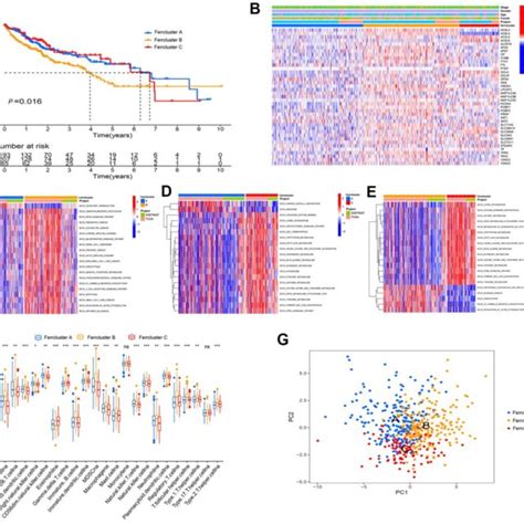 Ferroptosis Genes Subtype Pathway Enrichment Analysis And Tme Download Scientific Diagram