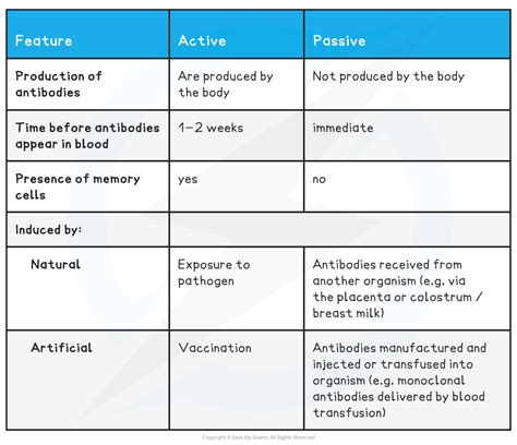 Aqa A Level Biology Active Passive Immunity