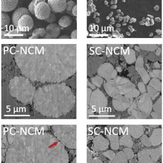 Sem Images Of Pc Ncm And Sc Ncm Powders Top Row Cross Sectional Sem