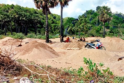 Spektrum Ntt Aktivitas Tambang Pasir Ilegal Masih Terjadi Di Rote