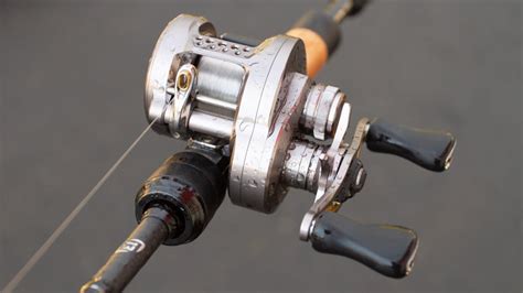 Shimano Calcutta Conquest Bfs Angel Kniffe