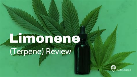 Limonene Terpene Review Youtube