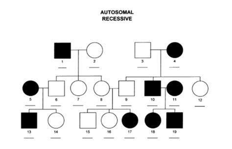 Cc Tips For Interpreting Pedigree Charts And Understanding