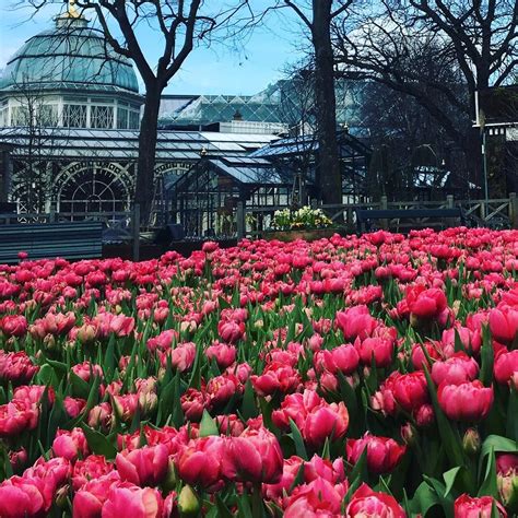 Spring Is Finally Here Can You Spot Which One Of Our Restaurants