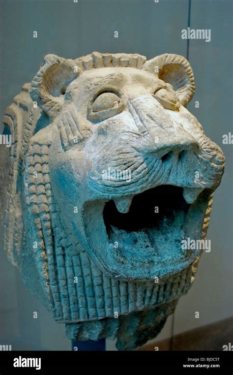 Lion Head Sculpture Louvre Museum Hi Res Stock Photography And Images