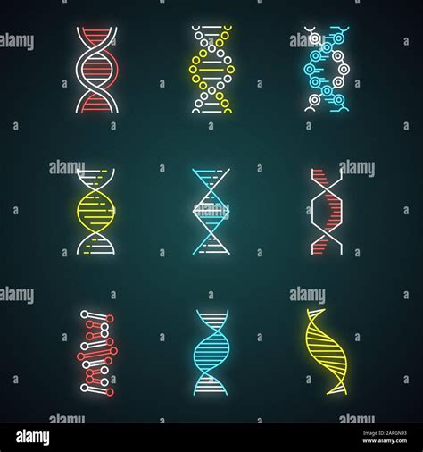 DNA Spiralen Neonlichtsymbole gesetzt Desoxyribonukleinsäure