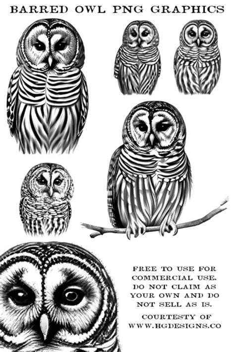 Free Download Commercial Use Barred Owl Graphics Hg Designs