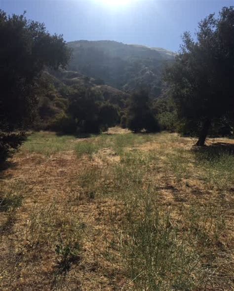 Rancho Los Padres Camping Hipcamp In Fillmore California