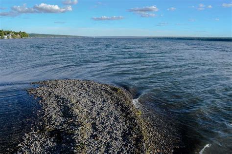 Long Point State Park - Parks Guidance