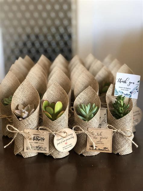 Succulent Favours Wrapped In Hessian Pick Up From Ringwood Etsy