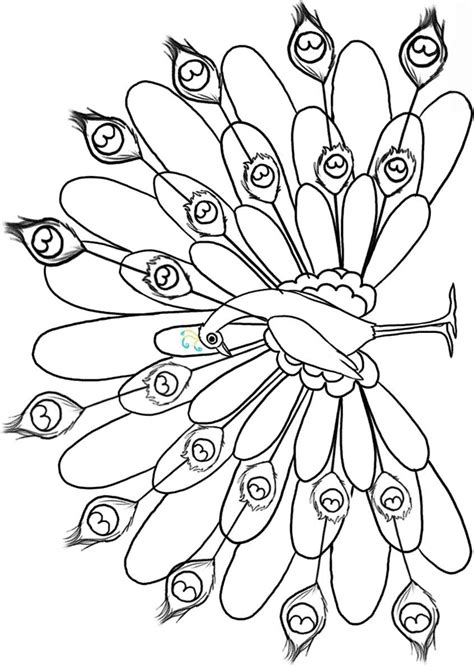 Outline Of A Peacock Drawing At Getdrawings Free Download