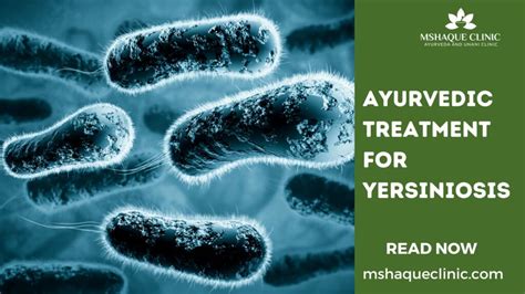 Ayurvedic Treatment For Yersiniosis- All You Need To Know