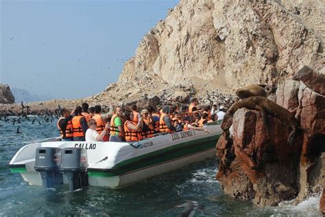 Ballestas Island Tour Sightseeing Boat Paracas Peru