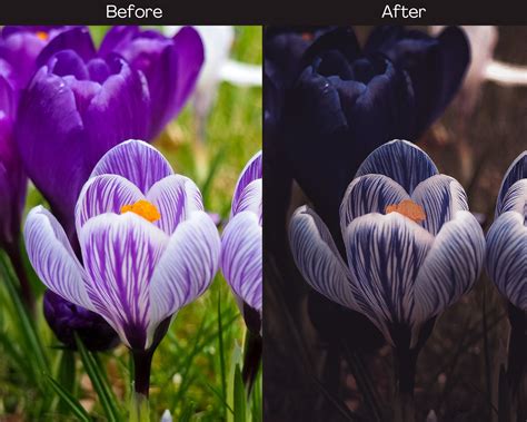 10 Dark Floral Lightroom Mobile Desktop Presets Dark Moody Etsy