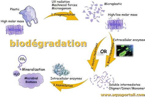 Biod Gradation D Finition Et Explications