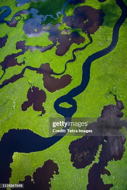 838 Everglades Climate Stock Photos, High-Res Pictures, and Images ...