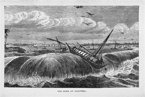 A period cartoon of solitary wave.... | Download Scientific Diagram