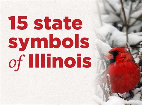 15 state symbols of Illinois : Gallery | State symbols, State history ...