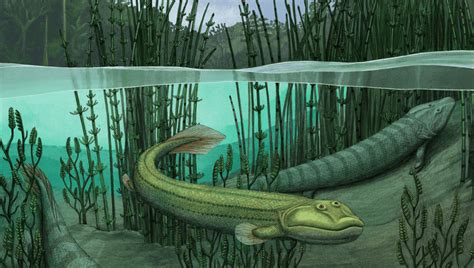 This Prehistoric Fishapod Took One Look At Life On Land And Turned Back