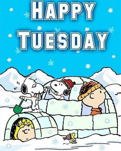 Pin By Carol Corcoran On Peanuts Happy Tuesday Pictures Happy Tuesday Happy Tuesday Quotes