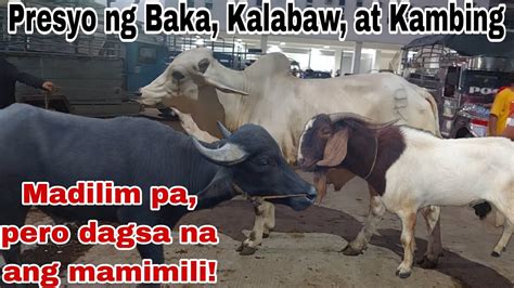 Updated Prices Presyo Ng Baka Kalabaw At Kambing August 2023 Sa