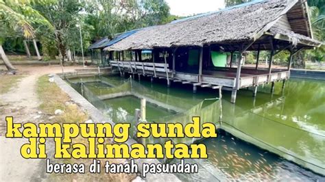 Suasana Damai Perkampungan Sunda Di Kalimantan YouTube