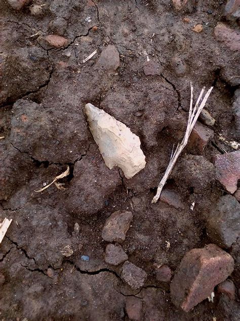 Field Hunting The Ohio River Bottom Land April Rd Arrowheads