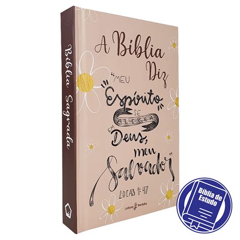 Kit 2 Livros A Bíblia Diz NVI Lettering Orando a Palavra