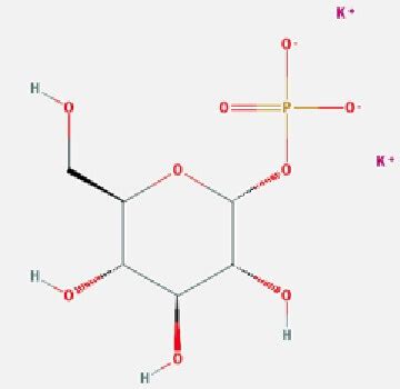 α D Glucose 1 phosphate dipotassium salt CAS 6736 77 2 SCBT Santa