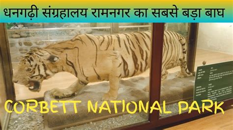 Jim Corbett Dhangarhi Museum धनगढ़ी संग्रहालय ढिकाला रामनगर Youtube