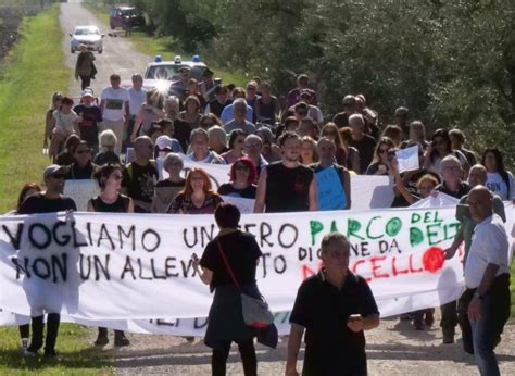 In Difesa Dei Daini Un Centinaio Di Attivisti E Comuni Cittadini Alla