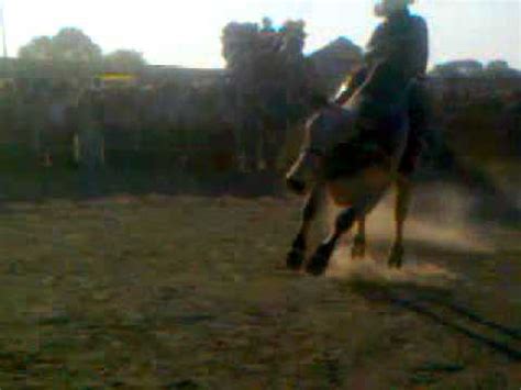 Jaripeo La Venta Pedro Escobedo YouTube