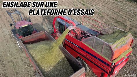 DÉCOUVREZ UN CHANTIER DENSILAGE SUR UNE PLATEFORME DESSAIS 3 BAURAL