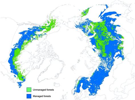 About Boreal Forests | IBFRA