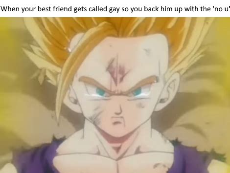 Unmei No Hi U Gay Vs No U R Animemes