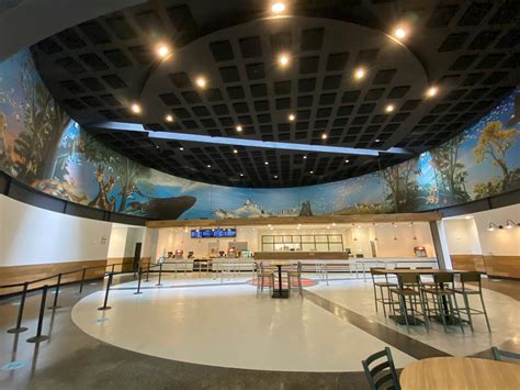 Dining and Shopping | Dallas Zoo