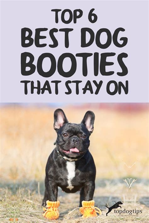 Top 6 Best Dog Booties for Dogs That Stay On (2024 Update)