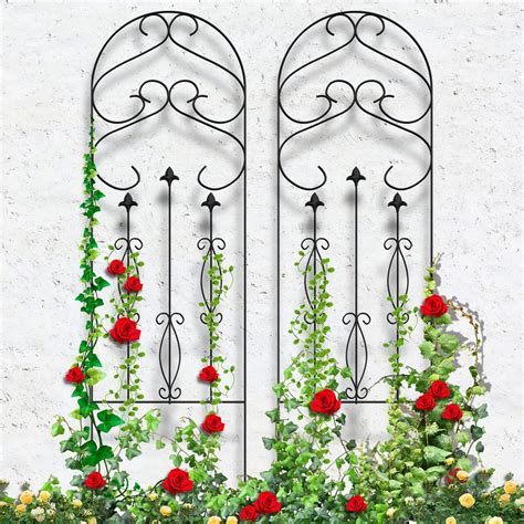 Buy Garden Trellis For Climbing Plants Best Garden Products Online Amagabeli