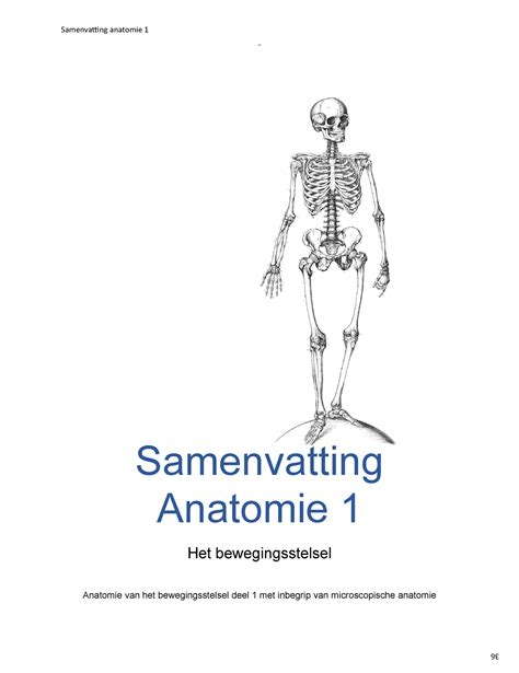 Kno Samenvatting 36 Samenvatting Anatomie 1 970864 Samenvatting