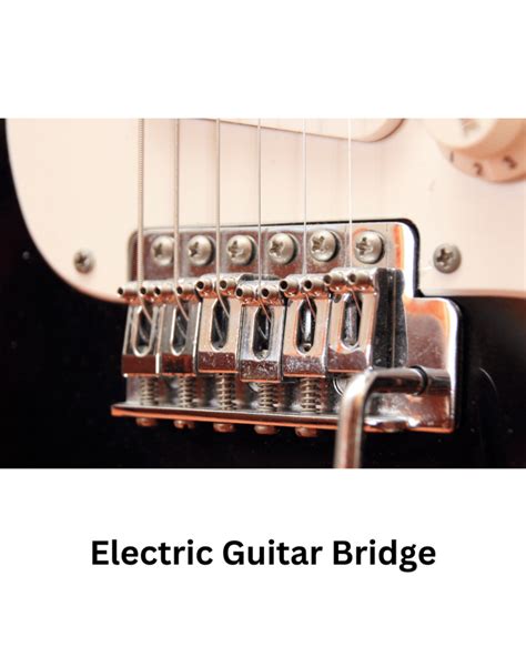 Electric Guitar Anatomy Detailed 18 Part Diagram Guitarfluence