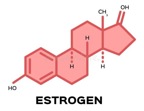 Estrogen Hormones Molecular Formula Sex Hormone Symbol Stock Vector