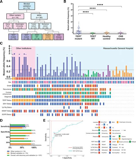 Detection Of Tert Promoter Mutation In Plasma Of Blinded Download