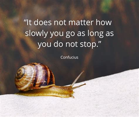 It Does Not Matter How Slowly You Go As Long As You Do Not Stop