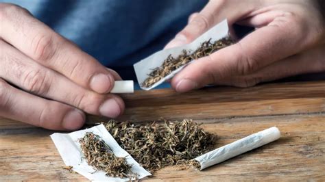 Tabac à Rouler Tout Ce Quil Faut Savoir